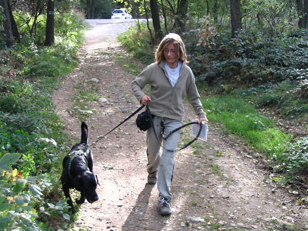 img00033.jpg